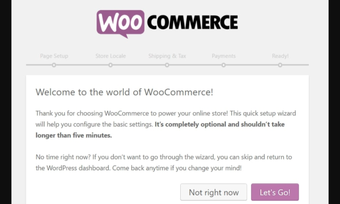 Imagen con un ejemplo de WooCommerce